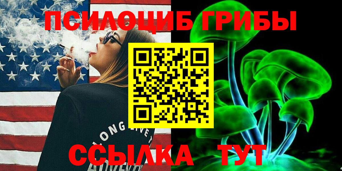 наркота  Галлюциногенные грибы GOLDEN TEACHER  Вход с VPN  Тайшет  Галлюциногенные грибы мицелий 