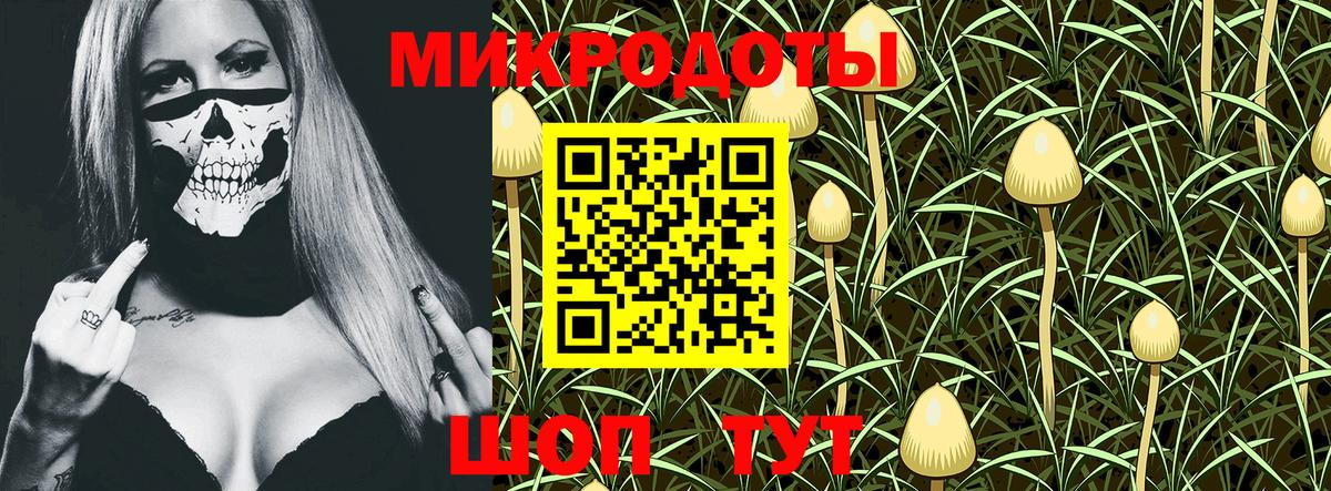 Псилоцибиновые грибы прущие грибы Тайшет