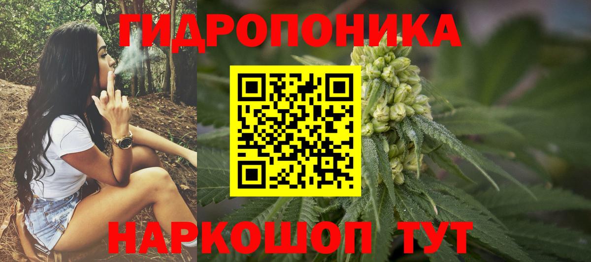 Бошки Шишки AK-47  Бошки Шишки OG Kush  Шишки марихуана тримм  Тайшет  Шишки марихуана гибрид  Вход с VPN 